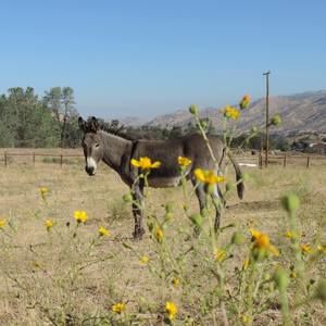 Meet your Posher, Colette